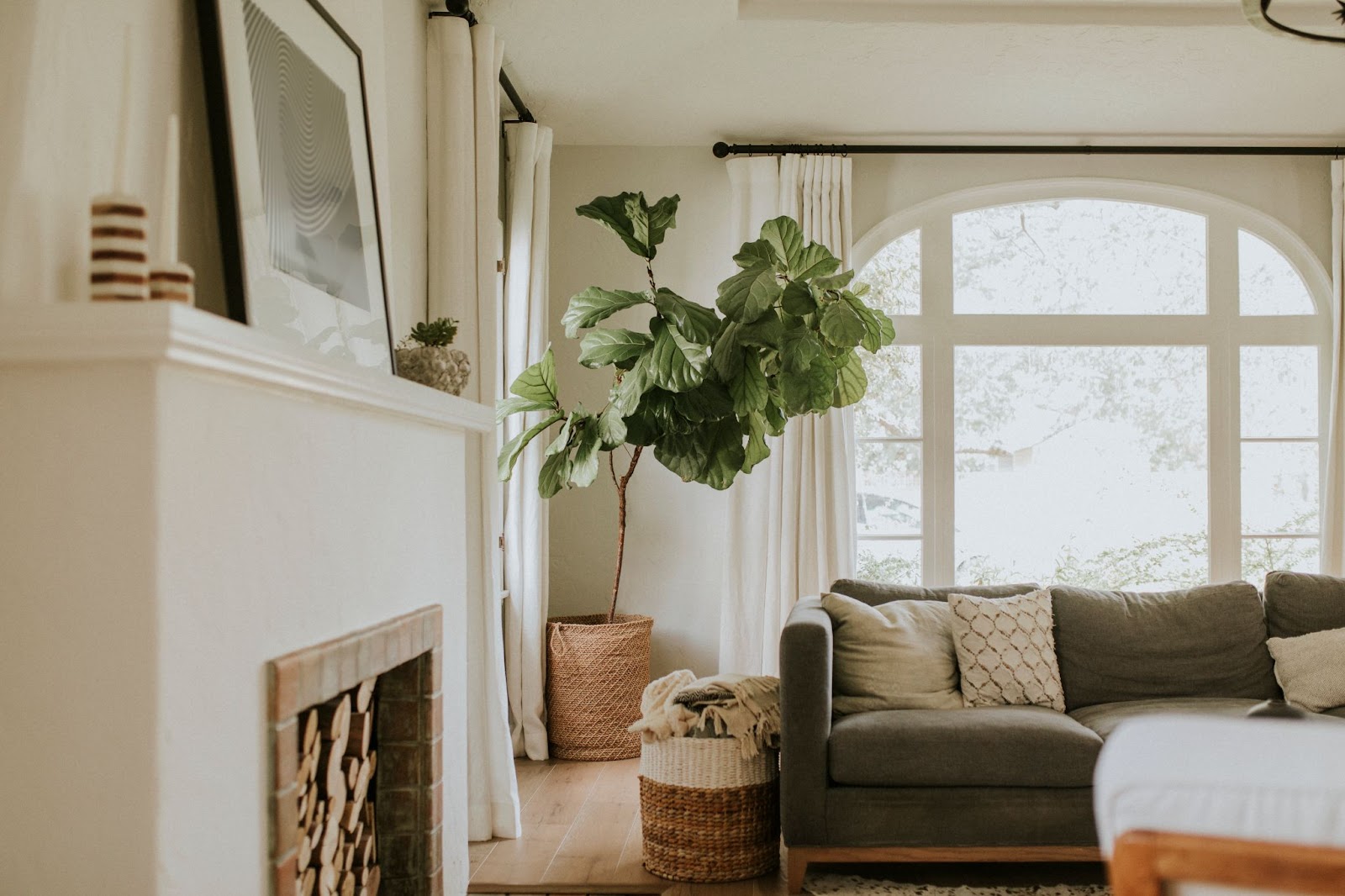 A stylish living room featuring a plush couch, crackling fireplace, and lush plant